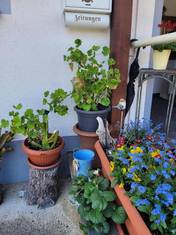 Ferienwohnung Schatz Breitenwang Exteriér fotografie