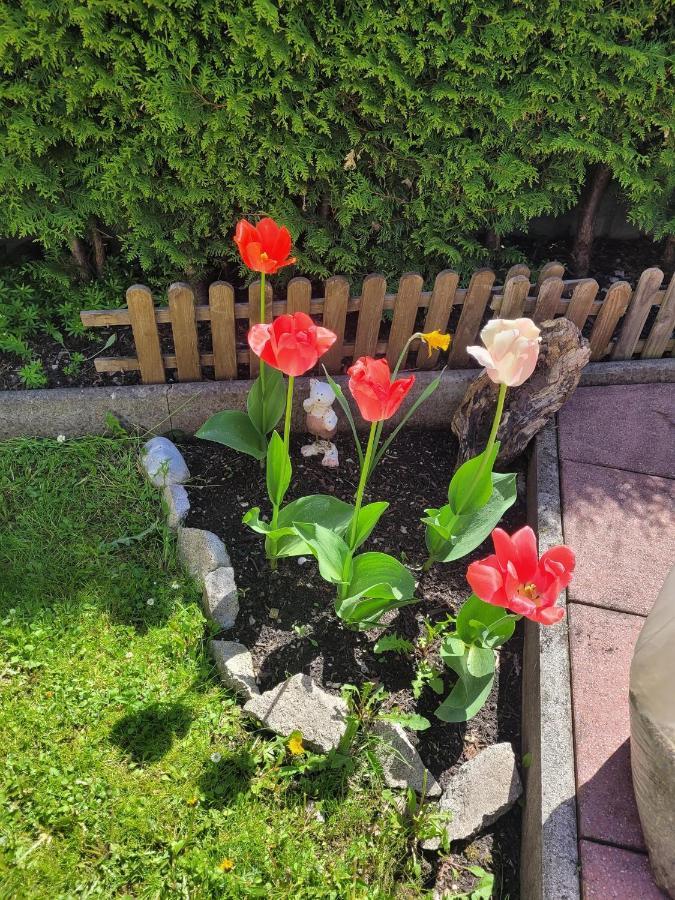 Ferienwohnung Schatz Breitenwang Exteriér fotografie